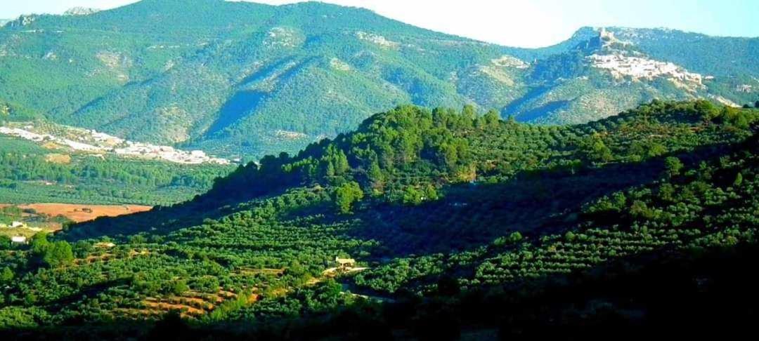 El Rincon De Mariela By Travel Chalet *