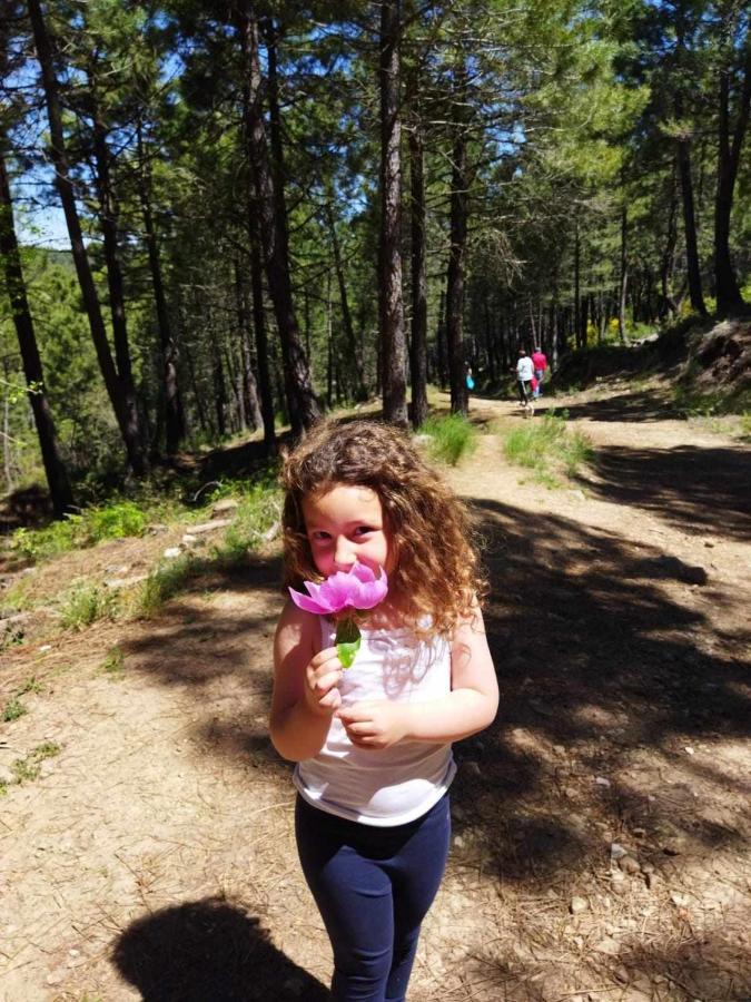 El Rincon De Mariela By Travel *